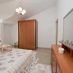 Family Spacious * Split