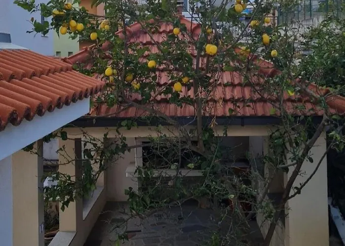 Family Spacious Apartman